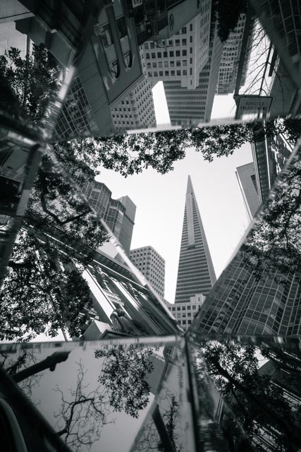 1702_MFA_San Francisco_330