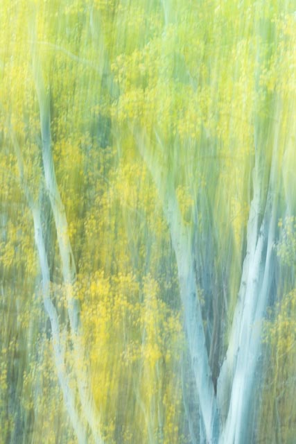 1710_MFA_Eastern Sierra_096