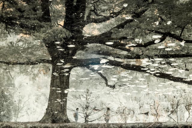 1711_MFA_New Zealand IR_319