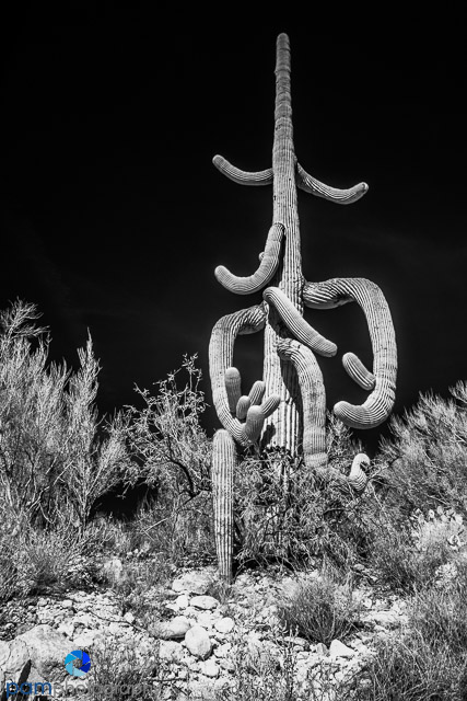 1712_PSA_Tucson _IR_130