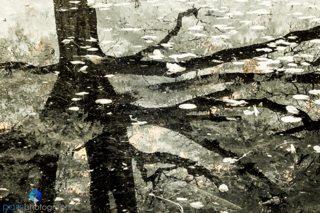 1711_MFA_New Zealand IR_317