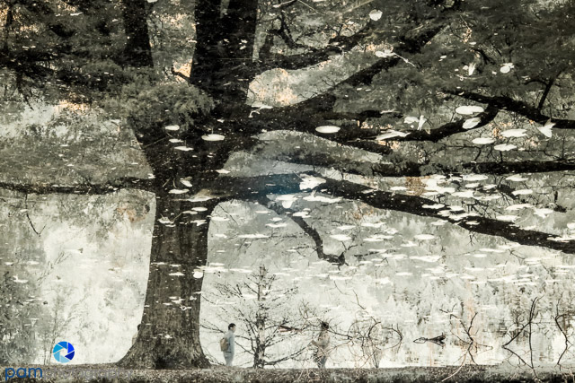 1711_MFA_New Zealand IR_319