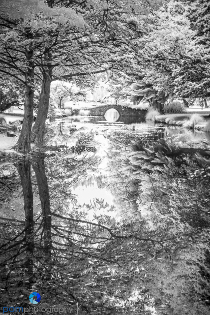 1711_PSA_New Zealand IR_909