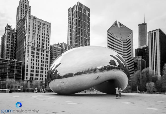 1801_MFA_Chicago _IR_026