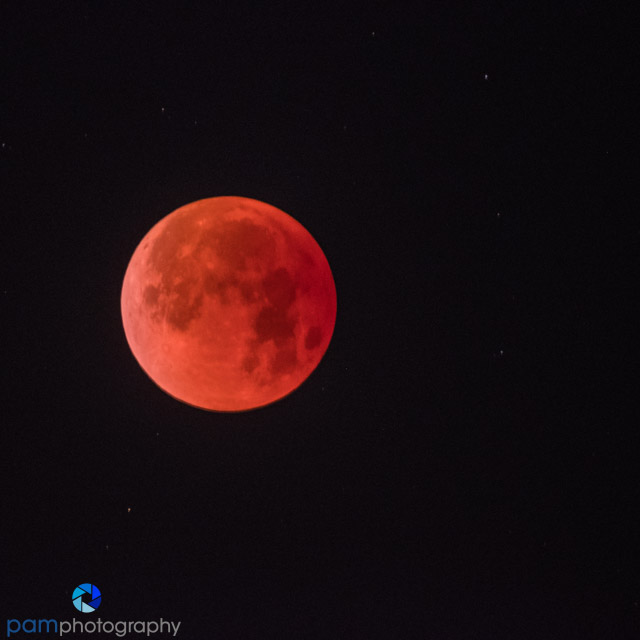 1801_PSA_Moon Eclipse_319