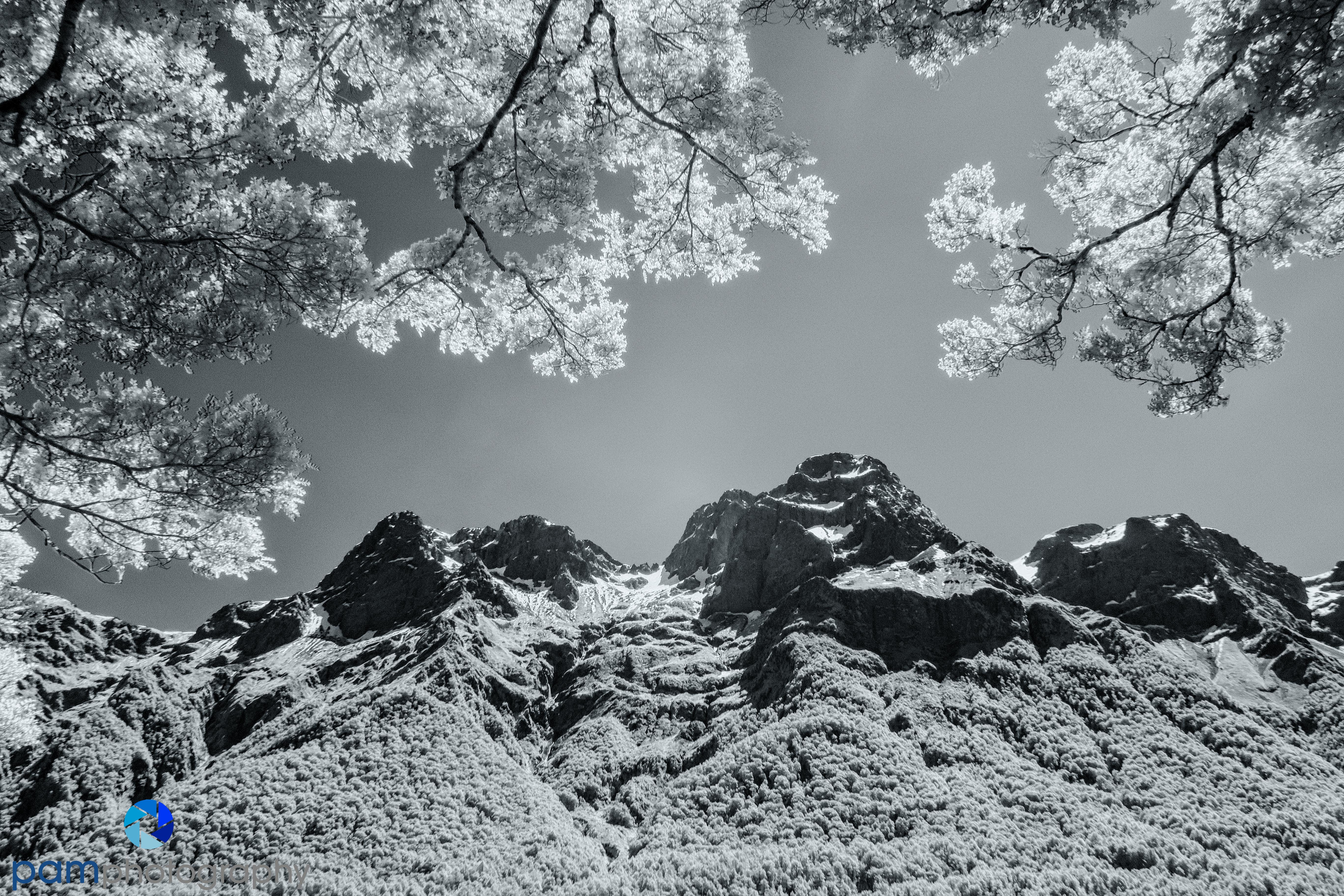 1711_MFA_New Zealand IR_349-Edit