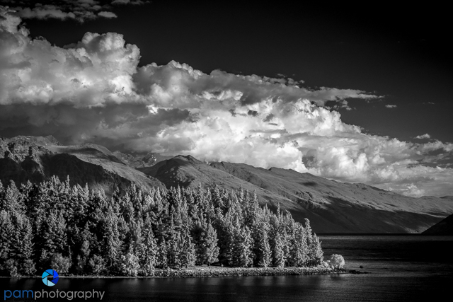 1711_PSA_New Zealand IR_890-Edit