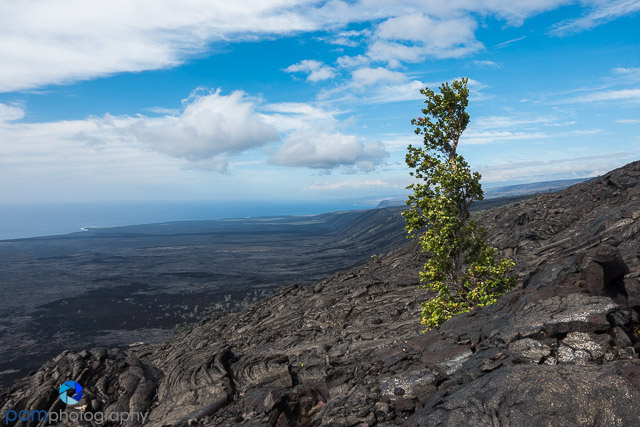 1803_PSA_Big Island_410