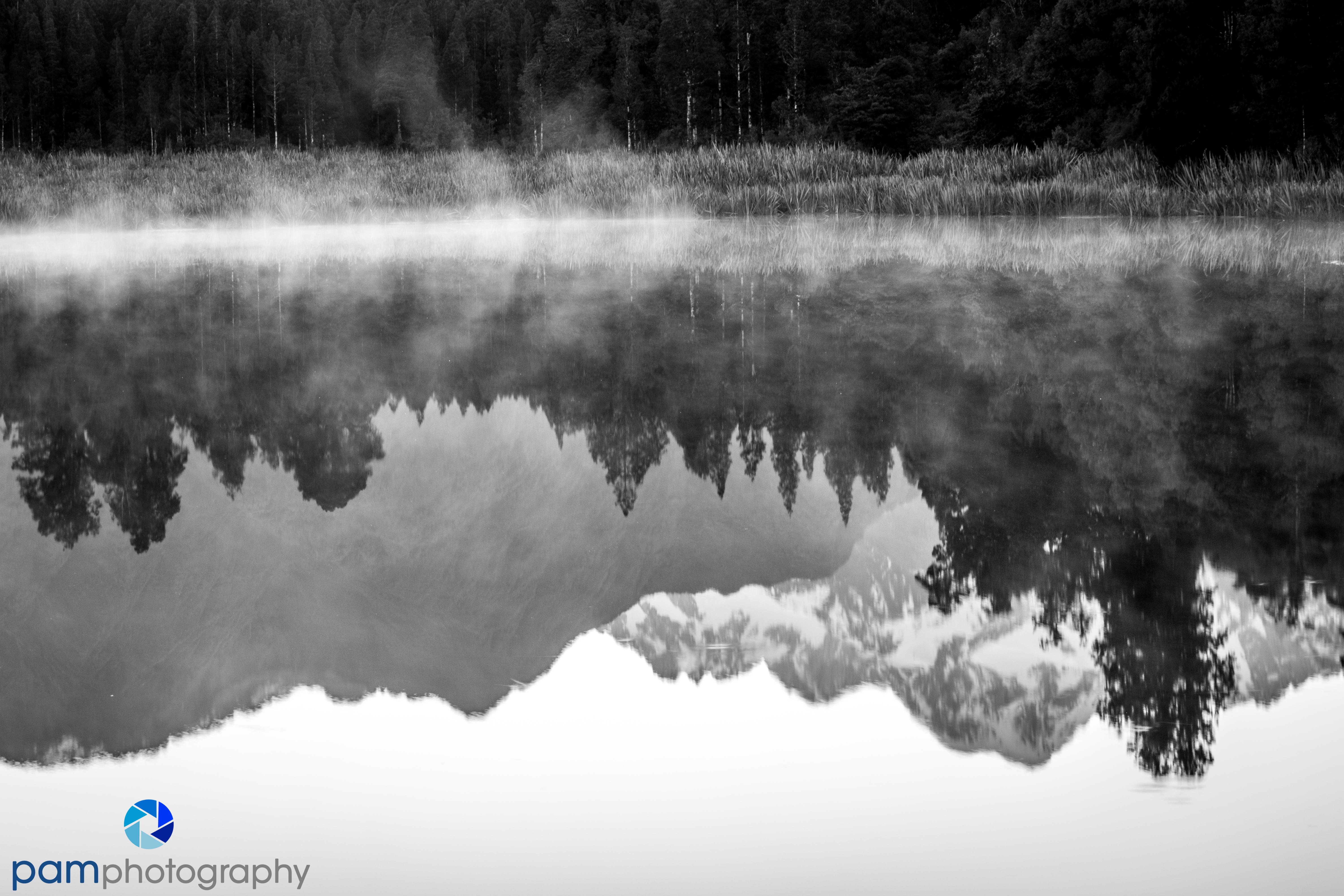 1711_PSA_New Zealand_0224