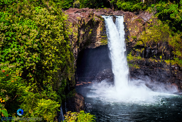 1803_MFA_Big Island_431-Edit