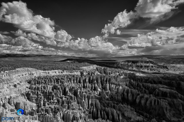 1805_PSA_Zion_210-Edit