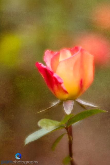 1805_MFA_Descanso_037-Edit-Edit