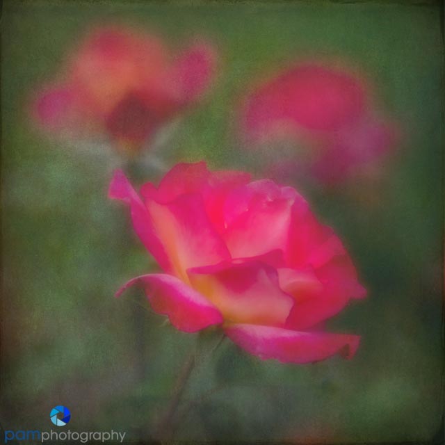 1805_MFA_Descanso_053-Edit