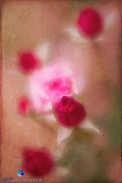 1805_MFA_Descanso_110-Edit