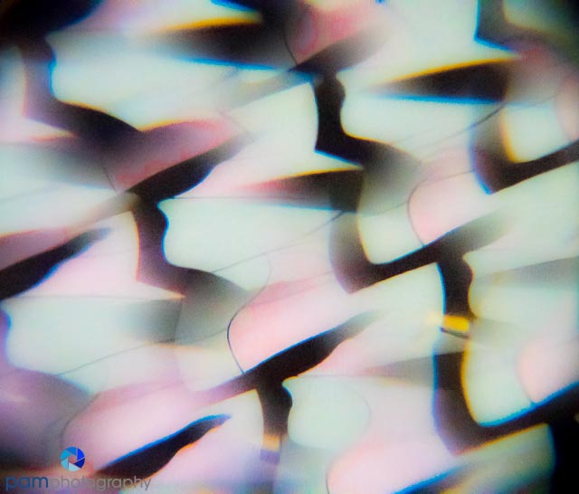 Photography Project:  Photographing Abstracts Through a Child’s&nbsp;Prism