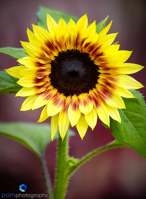 1806_MFA_descanso_161-Edit