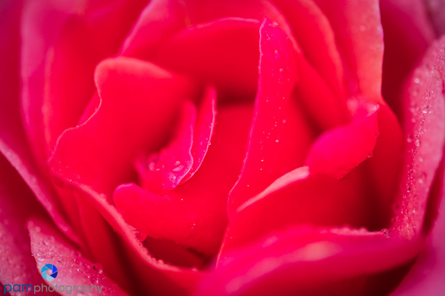 1806_PSA_descanso_009-Edit