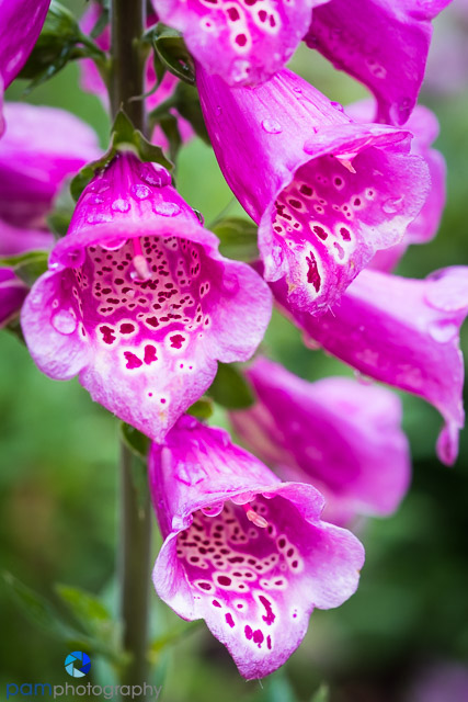 1806_PSA_descanso_105