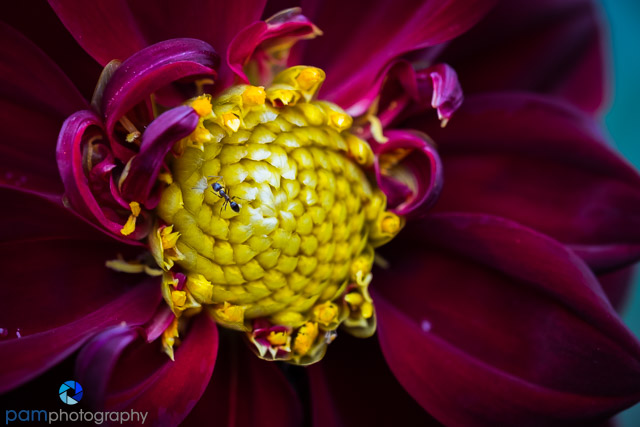 1806_PSA_descanso_158