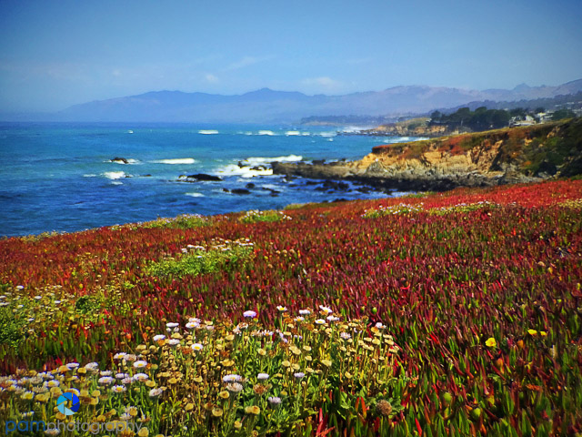 1807_MFA_Cambria iphone_004