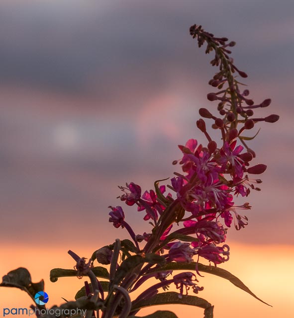 1808_MFA_Alaska_068-Edit