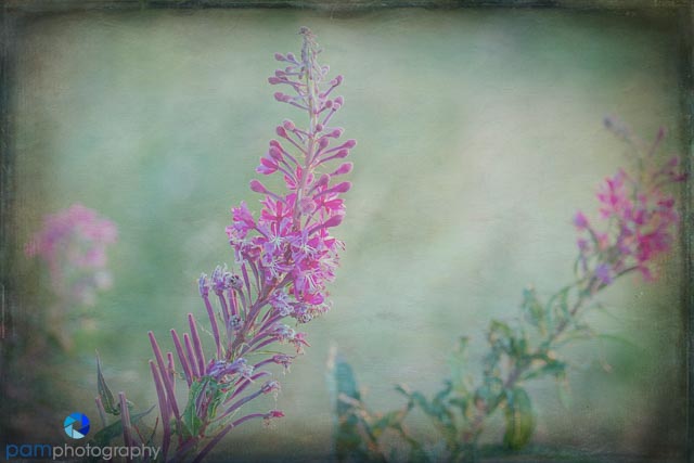 1808_MFA_Alaska_080-Edit