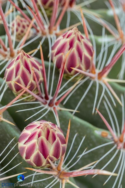 1810_MFA_Palm Springs_177