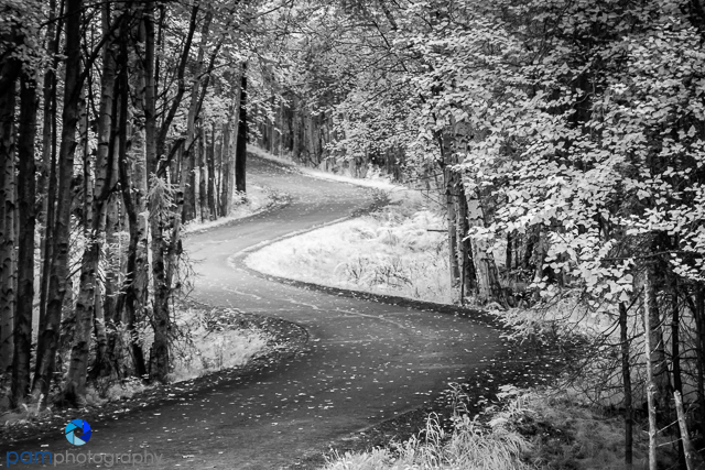 1808_PSA_Alaska_IR_1509