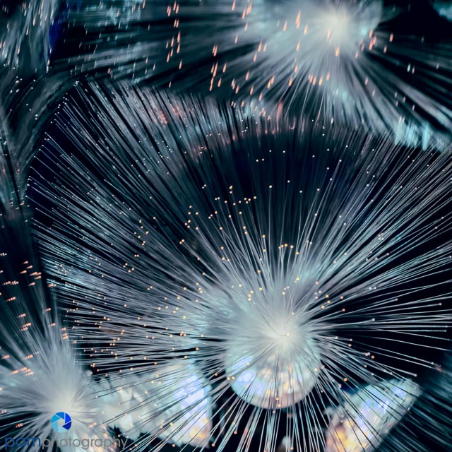 1801_mfa_project_211-edit