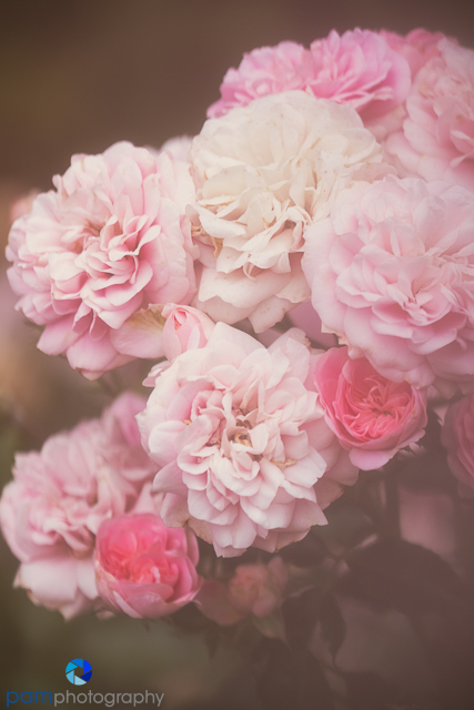 1806_mfa_descanso_103-edit