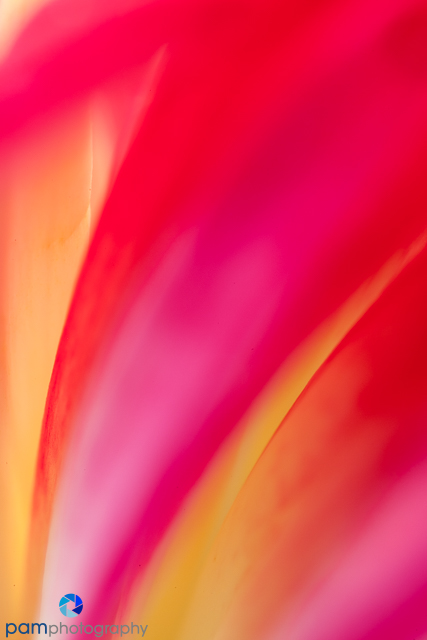 1806_mfa_flowers_086