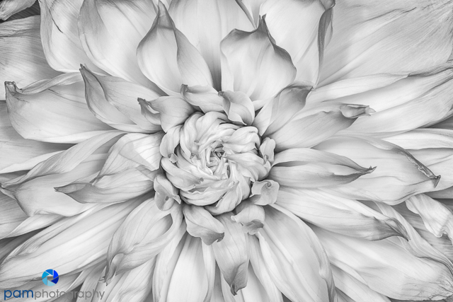 1806_mfa_untitled_059-edit-edit