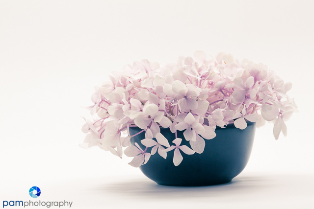 1806_mfa_untitled_104