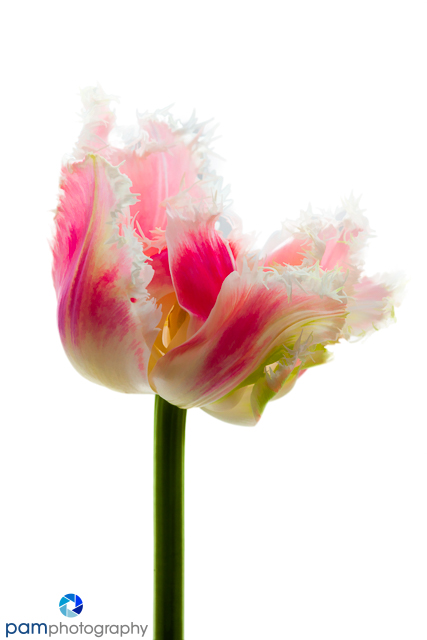 1806_mfa_untitled_121-edit-edit-2