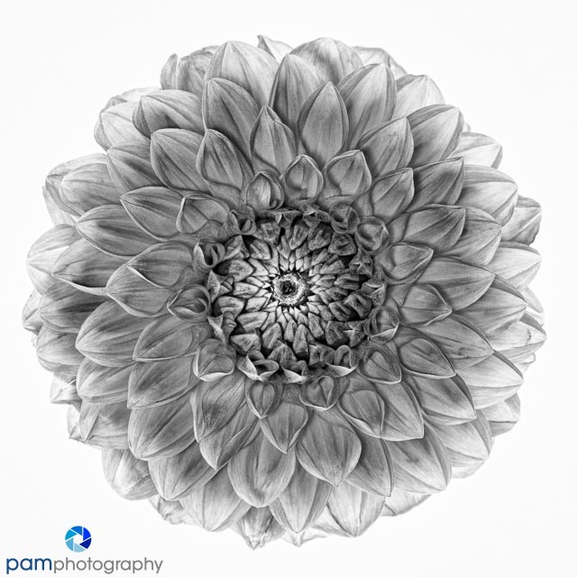 1806_mfa_untitled_157-edit-edit