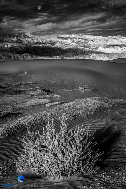 1812_psa_death valley ir_233-edit