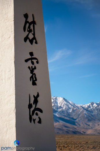 1812_PSA_Death Valley_421-Edit