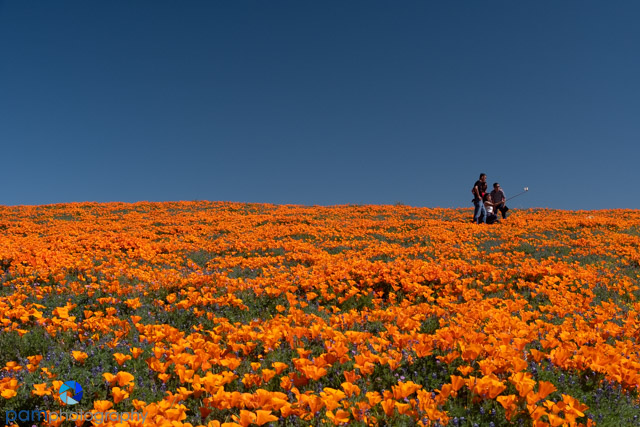 1904_PSA_Carrizo_034