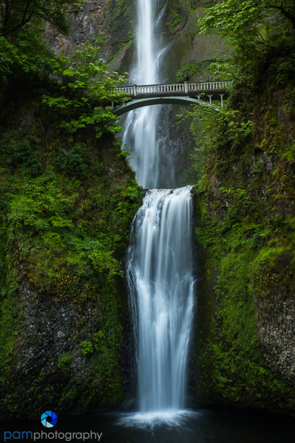 1905_PSA_Oregon_007-Edit