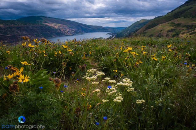 1905_PSA_Oregon_014-Edit