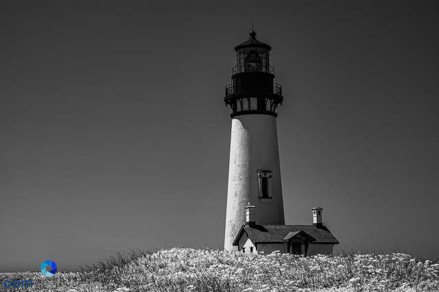 1905_PSA_Oregon_IR_172-Edit