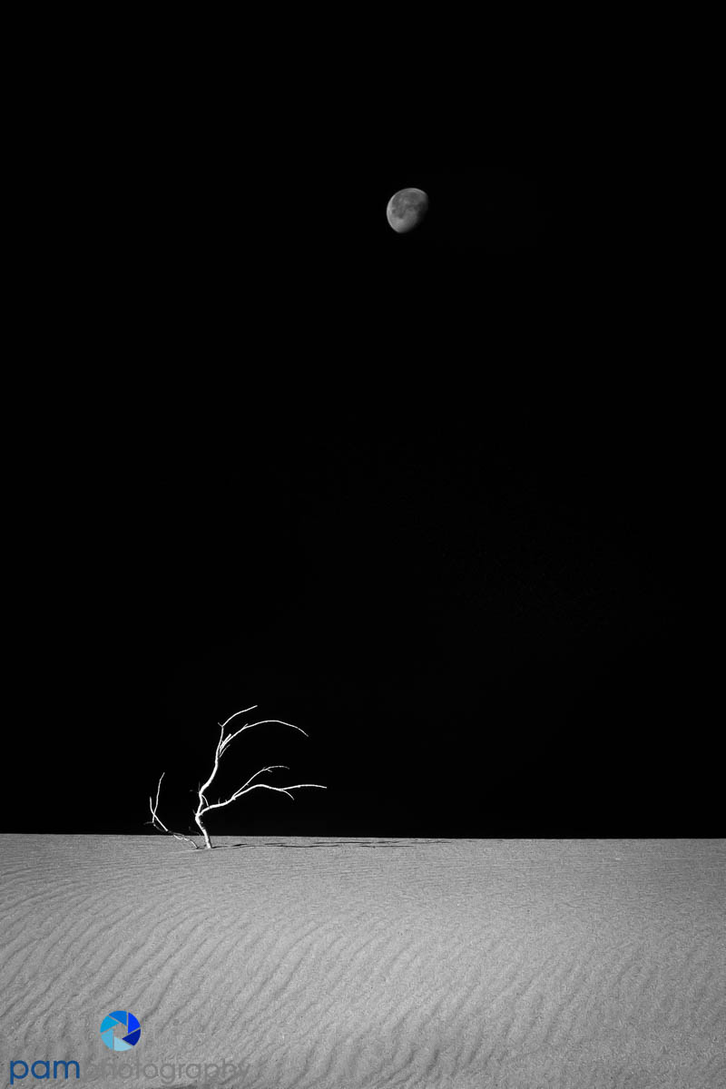 Look.  See.  Imagine.  Create.  Photographing the&nbsp;moon