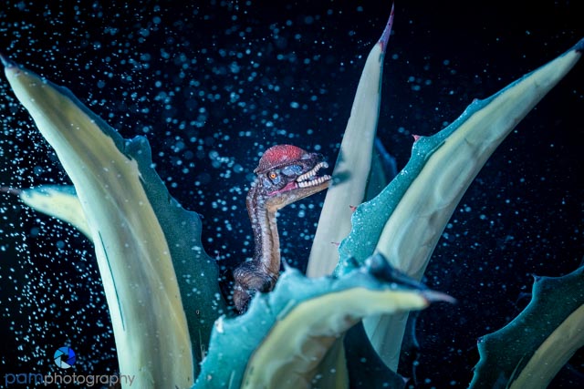 Photography Project:  Make a&nbsp;Mess