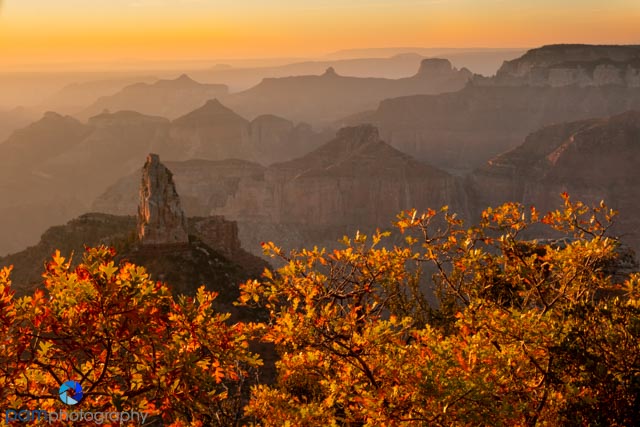 Mary’s Favorite Photos from&nbsp;2020