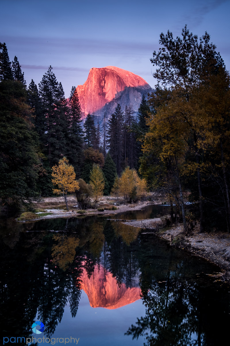 Half Dome from the Yosemite Valley&nbsp;Floor