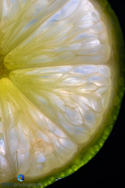 Photography Project:  Backlighting