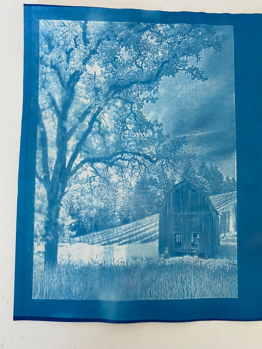 Photography Project:  Alternative Photography –&nbsp;Sunprints