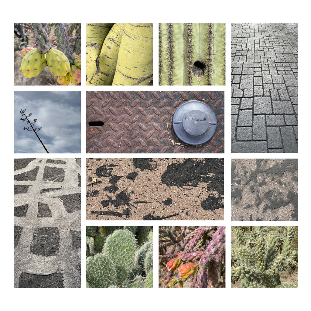 Photography Project:  Learning to&nbsp;See