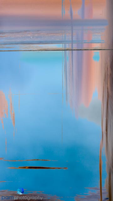 Mary’s Favorite Photos of&nbsp;2024