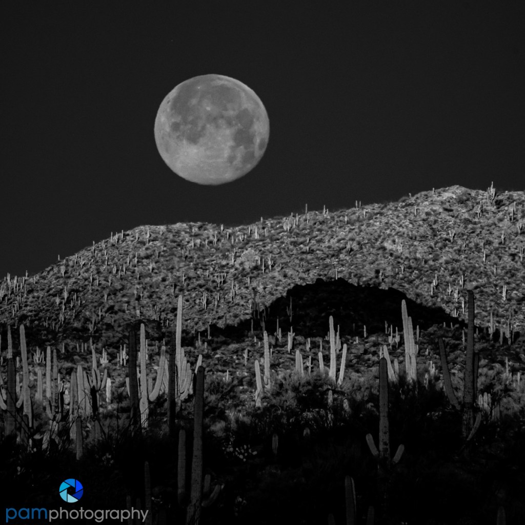 How to Photograph the&nbsp;Moon